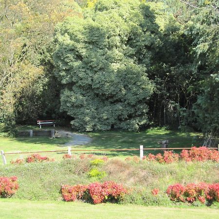 Dandenong Ranges Cottages The Patch 외부 사진