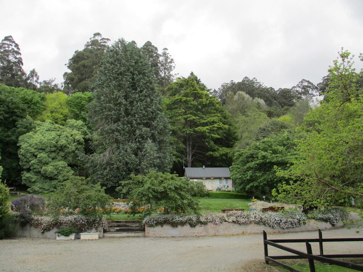 Dandenong Ranges Cottages The Patch 외부 사진